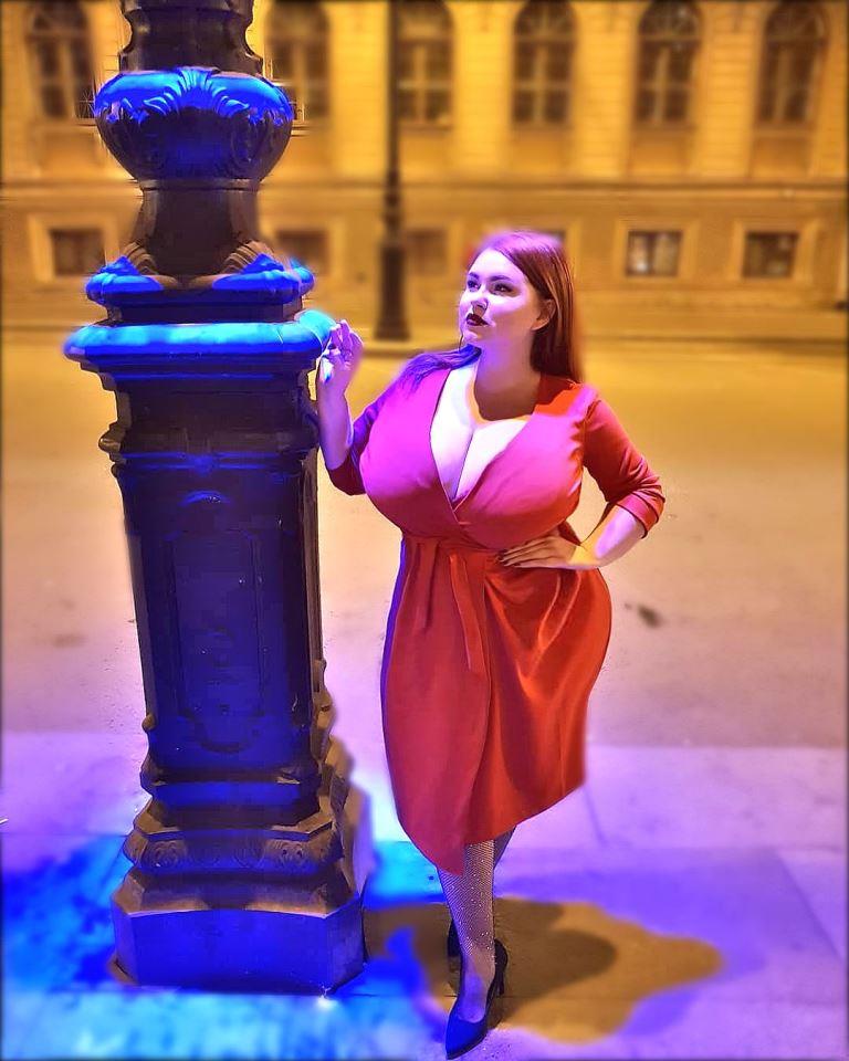 plus size high waisted pants